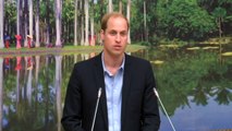 Prince William gives a speech against the ivory trade