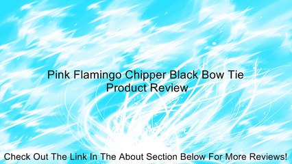 Pink Flamingo Chipper Black Bow Tie Review