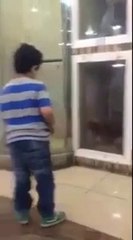 Dog attacks a child with an unseen force