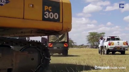 Kenya: un éléphant secouru après avoir passé 12h dans un trou de boue