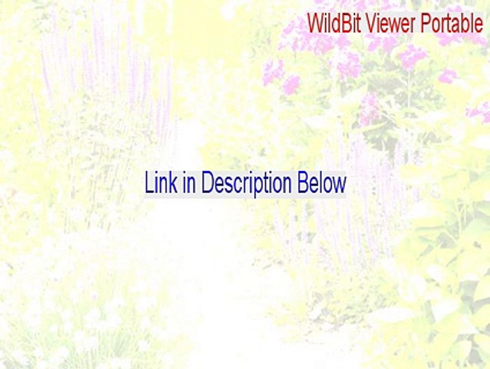 WildBit Viewer Portable Cracked - Instant Download (2015)