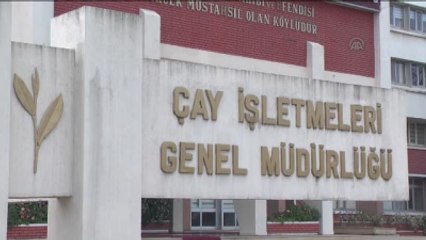 Çaykur, Beyaz Çayı "Beyaz İksir" Adıyla Piyasaya Sürdü