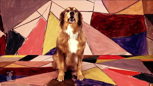 Gotye Dog Parody - Somebody That I Used To Know