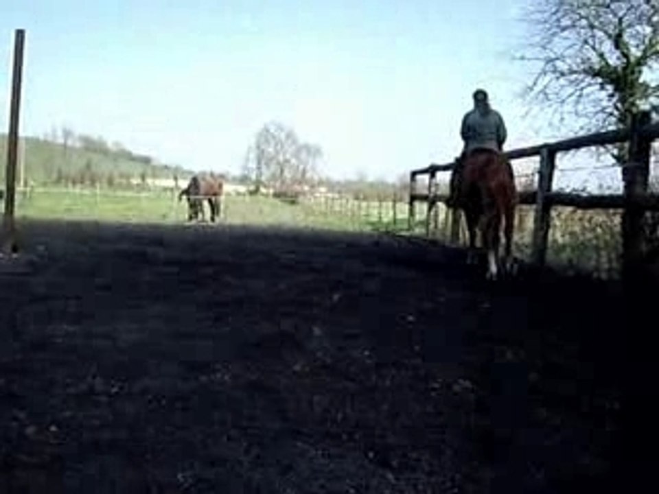 Obstacle sans bride