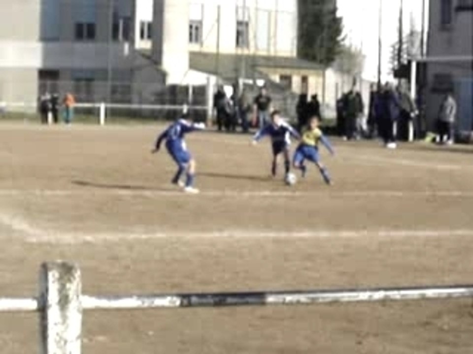 buteur