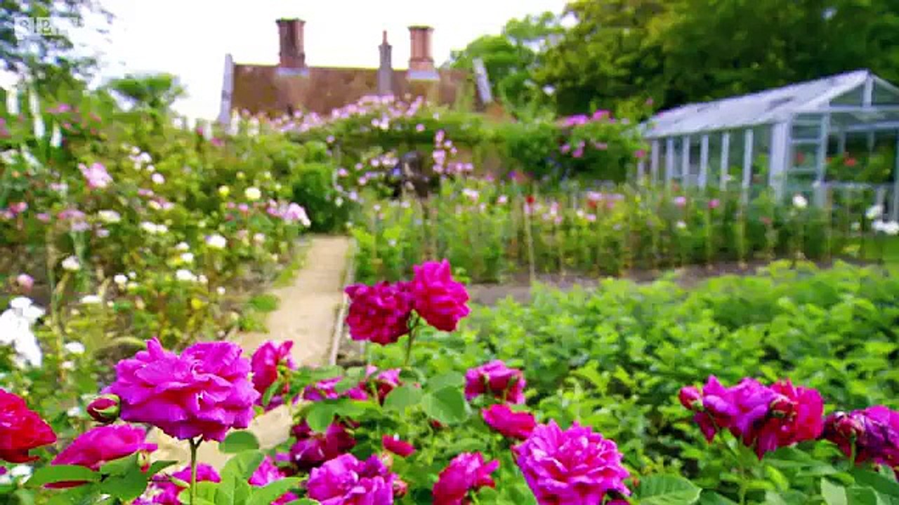 GBGR Roses and Climbers & Creepers