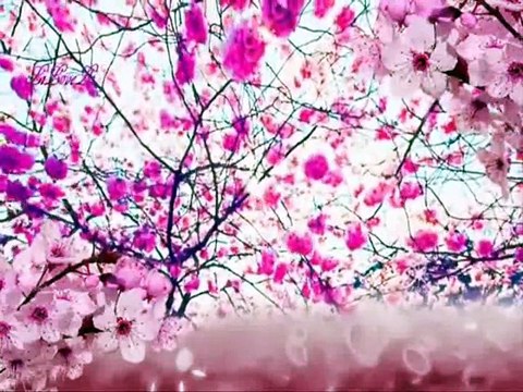 EYLEM AKTAŞ - GELMİŞ BAHAR GEÇMİŞ YAZLAR N'EYLEYİM