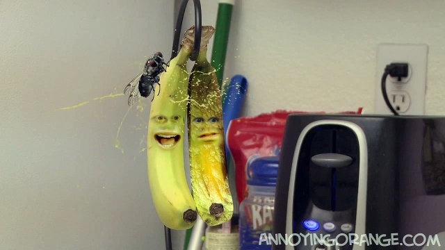 Annoying Orange - Pet Peeve