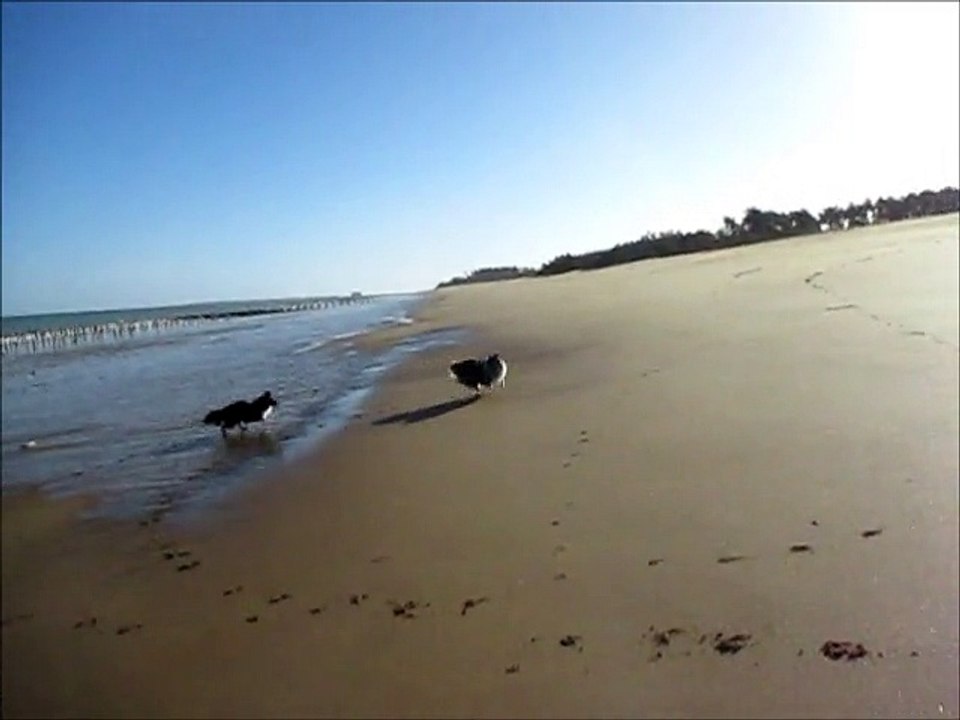 2015.03.04 - La Gautrelle