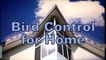 Bird Control - Bird Repellent - Bird Control Products - Expel Bird Barrier - Bird Spike - Plastic Bird Spike