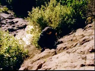 Pierpoljak - La music (clip officiel)