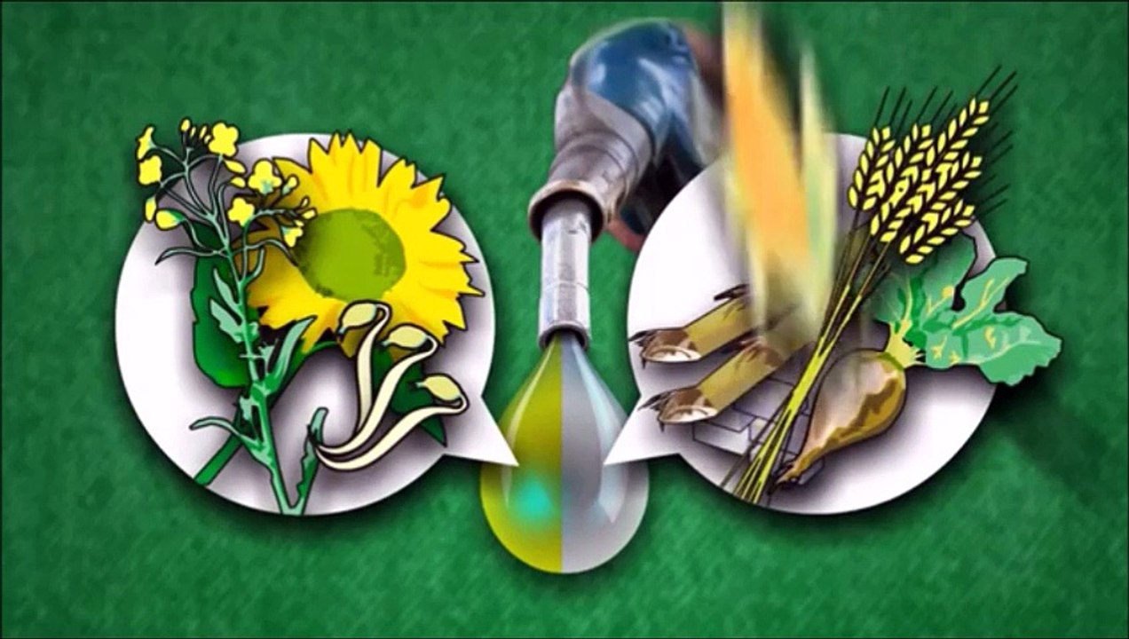 Les biocarburants de Alpha à Zeta