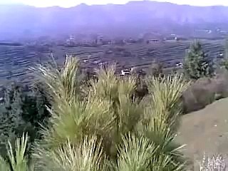 Nazia iqbal musafari tappay 2015 by gulnoor  zeran