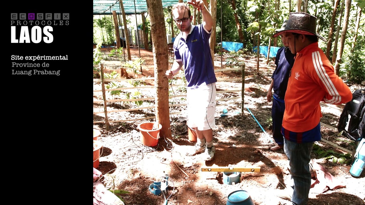 ECOSFIX site expérimental au LAOS. JL Maeght