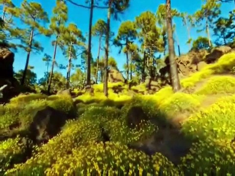 Gelmiş bahar geçmiş yazlar neyleyim