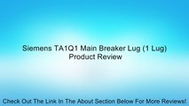Siemens TA1Q1 Main Breaker Lug (1 Lug) Review