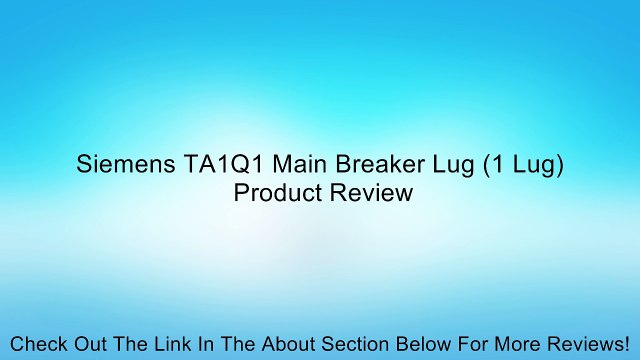 Siemens TA1Q1 Main Breaker Lug (1 Lug) Review