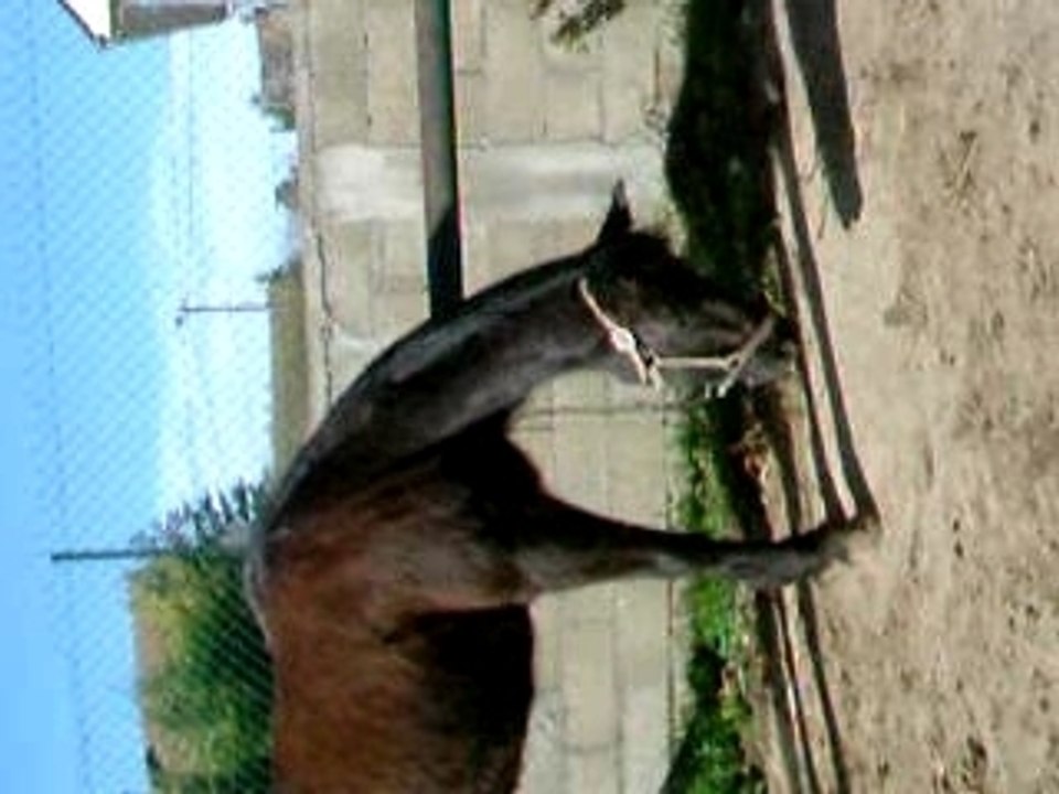 Calval