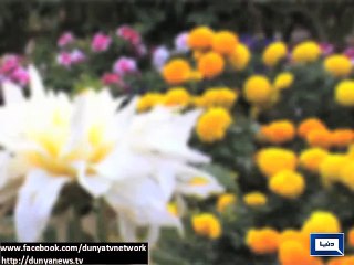 Dunya News - New round of rains to enter country tonight: PMD