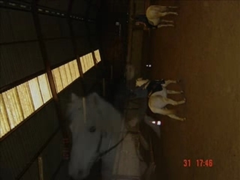 Spirit and me_0001
