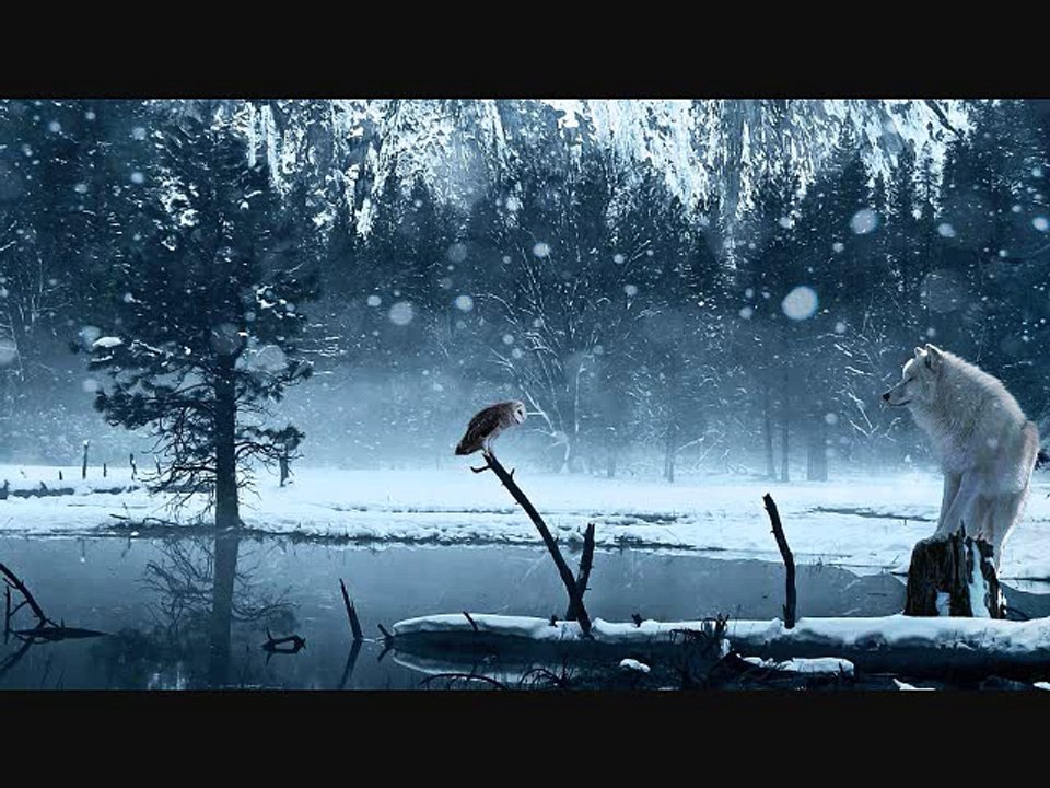 591 The White Wolf