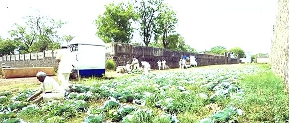 Full Hindi Movie Watch Online DVDRIP 2015