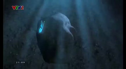 Thay Đổi Cuộc Sống Số 5 - Nhân Vật Trương Nguyễn Nam Phương