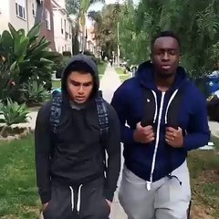 When you mess up with the wrong dog