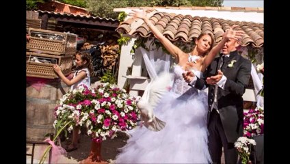 MARSEILLE LACHER DE COLOMBES 0664937284