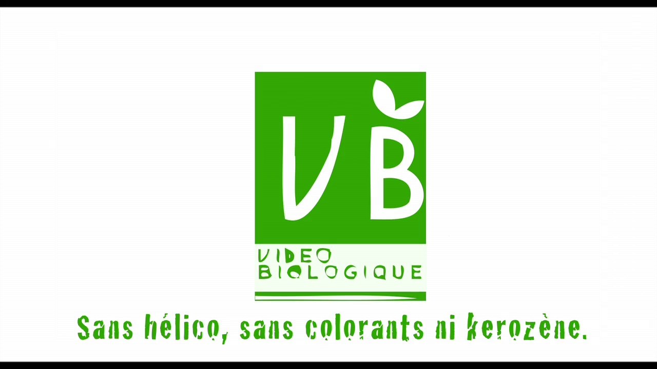ECOLOCOCO
