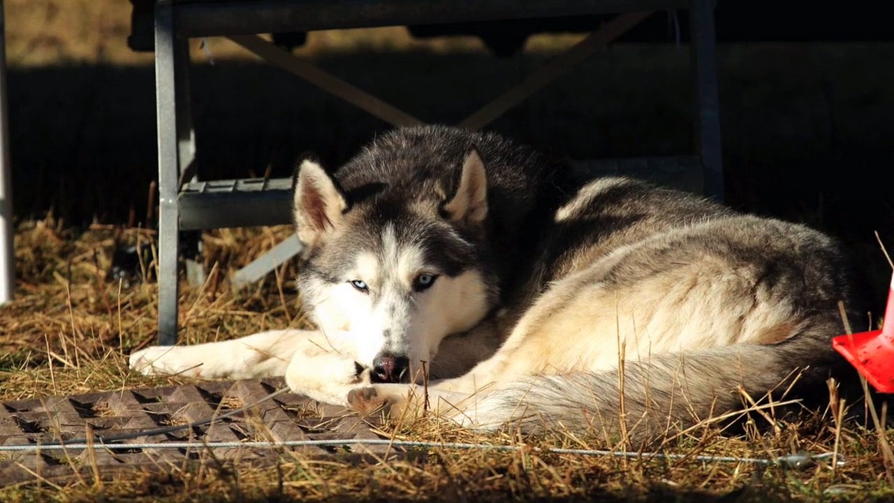 Impressionen Kunrau 2015