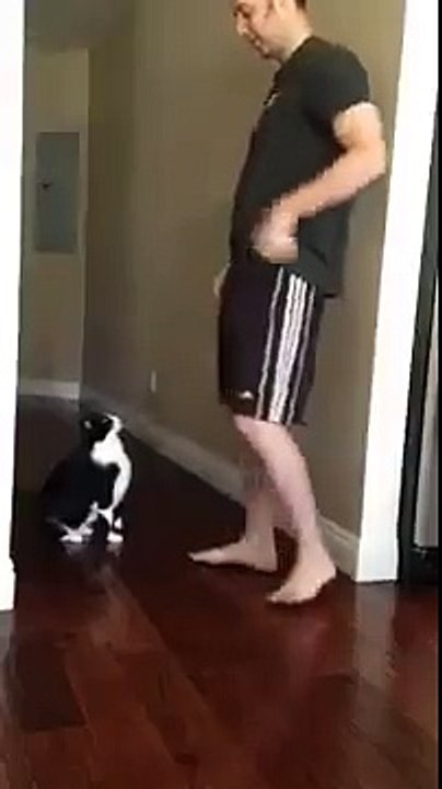 Best Kitty Hug Ever!