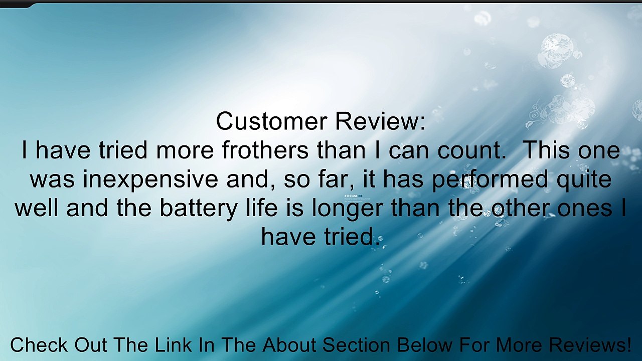 GEFU Stainless Steel Milk Frother, FINO Review