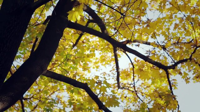 Jak działa miasto - „Sprzątanie miasta”