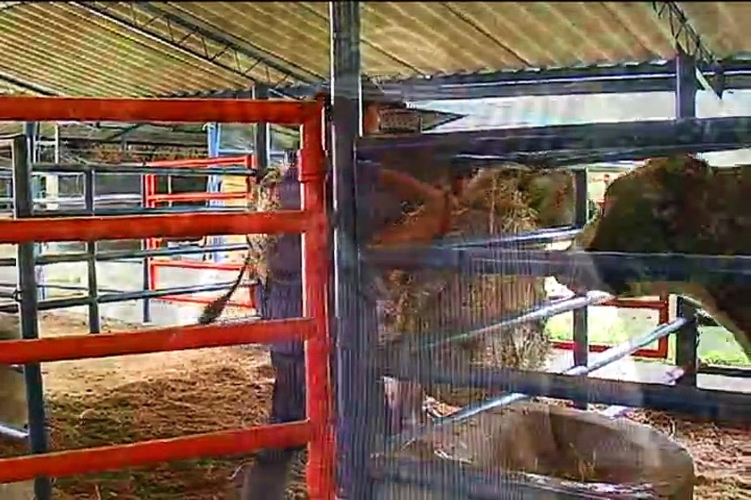 3 de marzo de 2015 CGR Biotecnología Reproductiva.