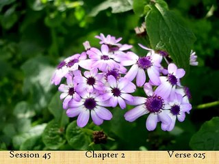 Complete English Explanation of the Quran by Elsharawy - Part 15 📖