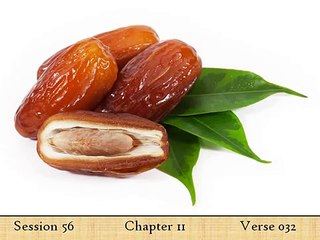 Comprehensive English Explanation of the Quran by Elsharawy – Part 18 📖