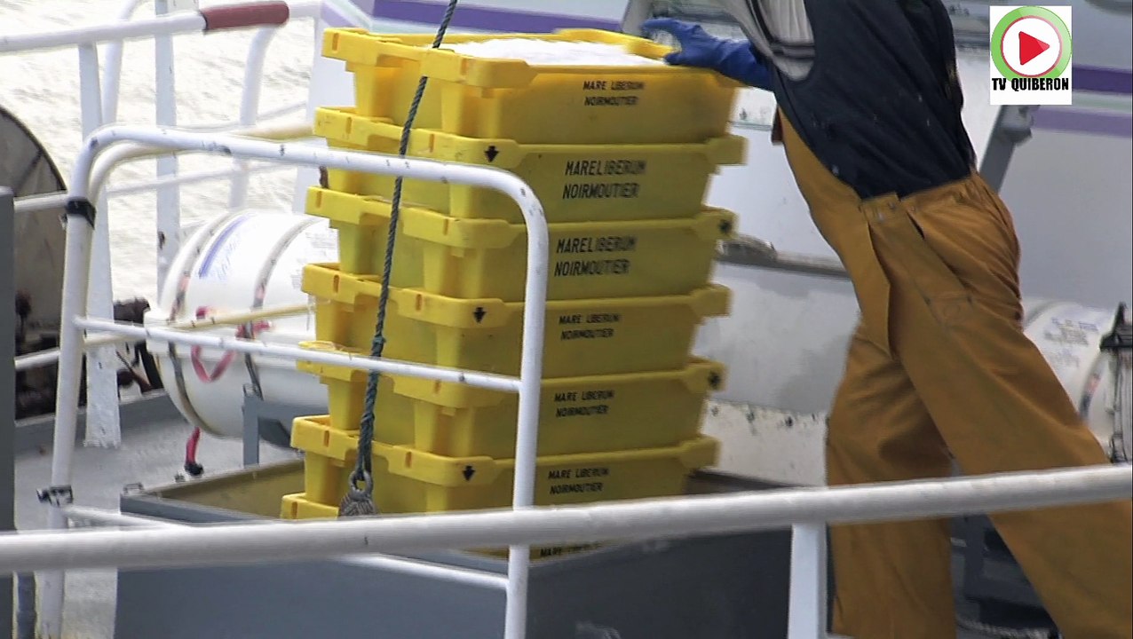 Noirmoutier  |    Retour de peche au port de l'Herbaudiere - Télé Noirmoutier Vendée