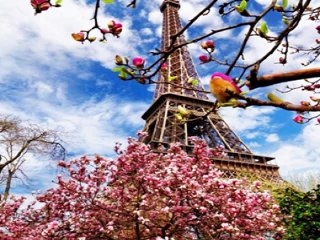 "SI TU NE RENTRES PAS 2014" PAR CHANTAL MATHIEU