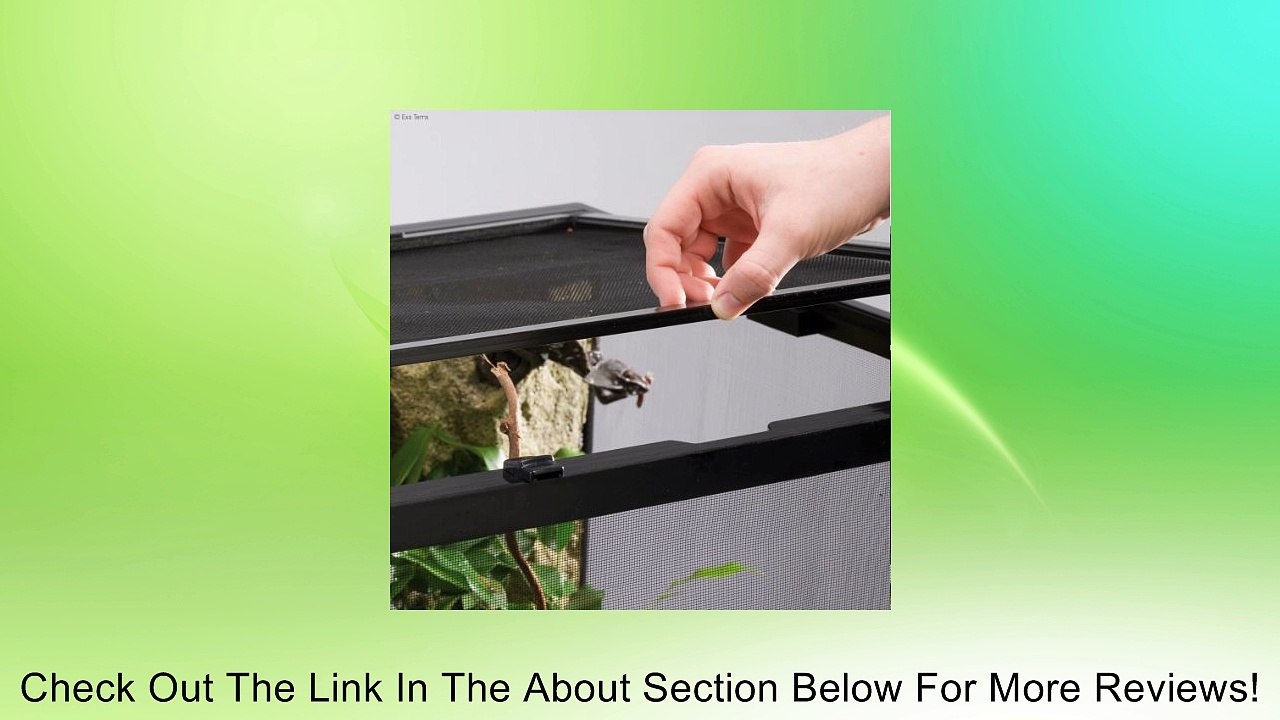 Exo Terra Metal Screen Terrarium Review