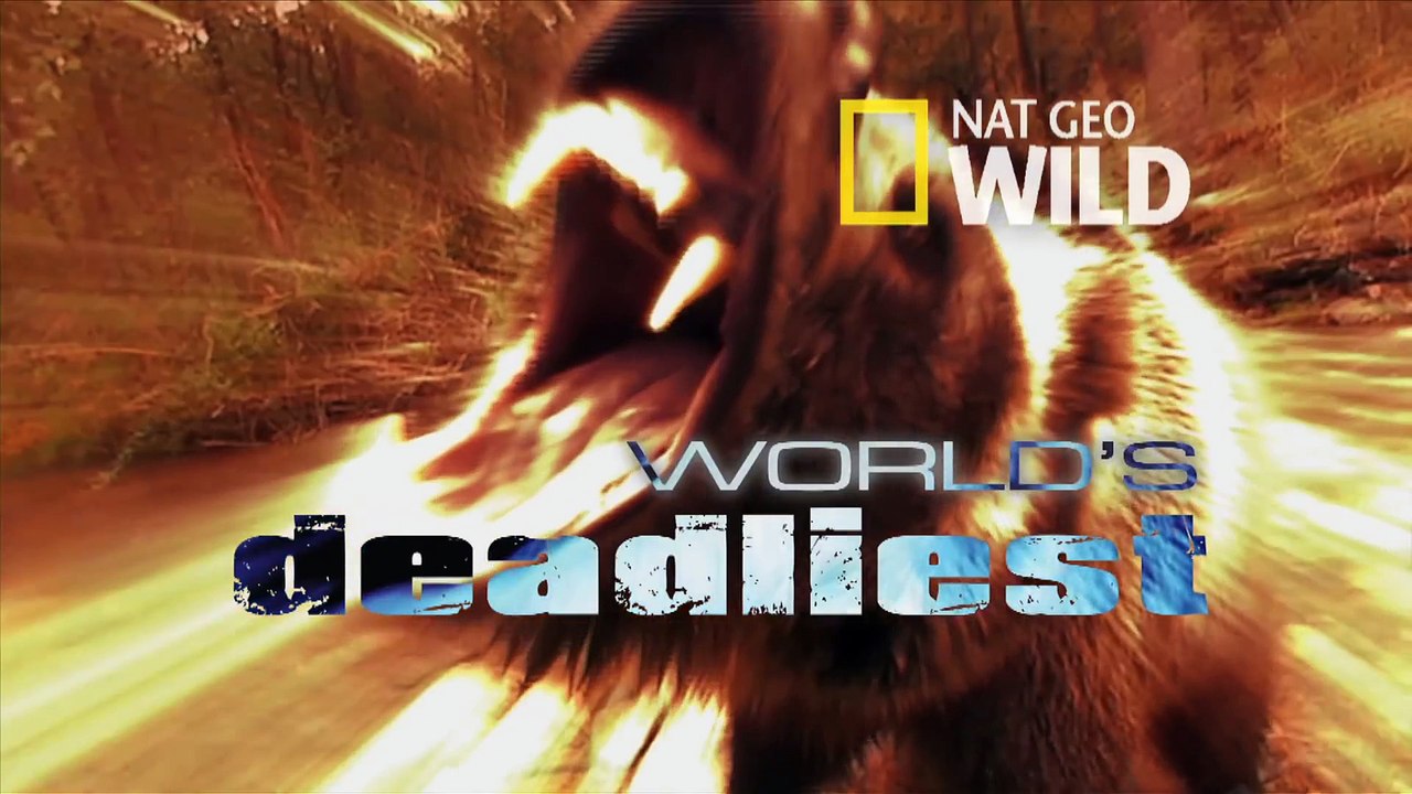 World's Deadliest - Six-Foot Electric Eel