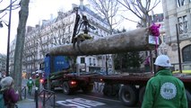 Greenpeace protesta contra madeira ilegal na França