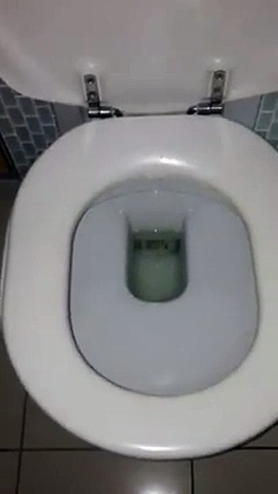 Avant d'utiliser les toilettes en Australie ...