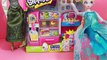 Frozen Shopkins Season 2 So Cool Fridge Disney Elsa Anna Shopkin Collection Video Exclusive Kid Toys