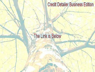 Credit Detailer Business Edition Crack [Free Download]