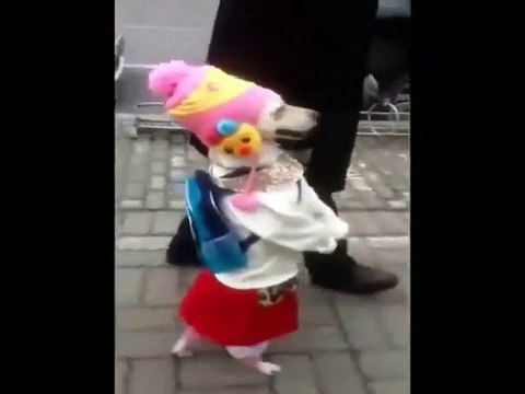 Hele Bakın Kim Gelmiş