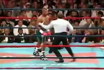 Roy Jones Jr Highlight - Can't be touched