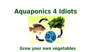 Aquaponics 4 Idiots Guide