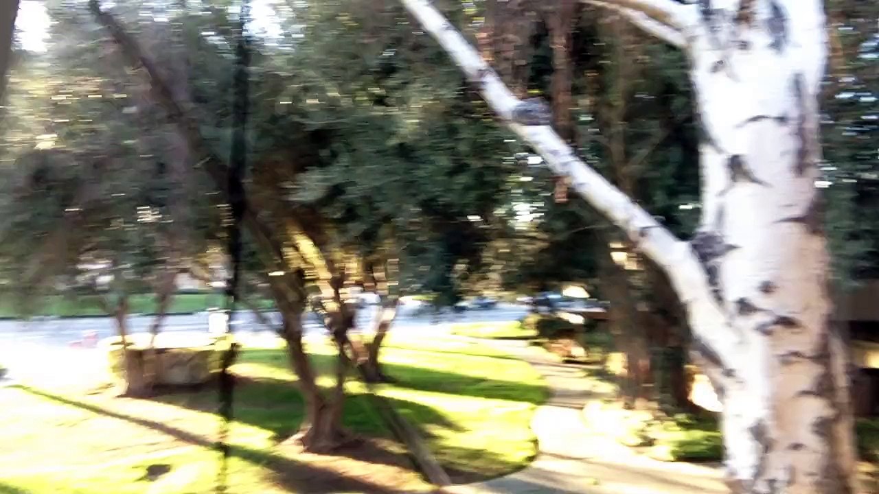 My video