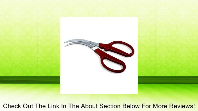 Norpro 6518 Shrimp and Prawn Peeler, Deveiner Review